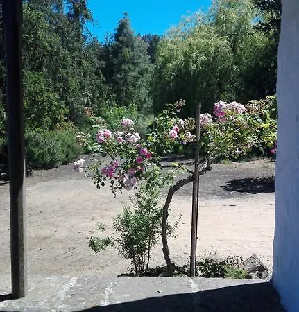 Montanon Negro 